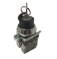 Переключатель Briswik ПЕ 172/2м -С черный 3но+1нз Ключ с фикс 2-поз , во вкл. сост. не вынимается IP40 УХЛ3 10А | код aT-YB-0Ai-0142 | Briswik